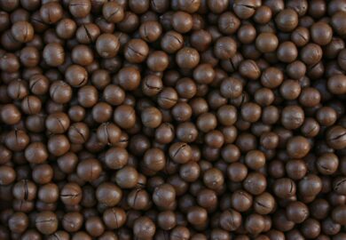 Como usar macadâmia na culinária: Receitas doces e salgadas